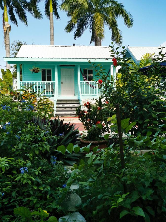 Harbour View Boutique Hotel & Yoga Retreat Belize City Kültér fotó